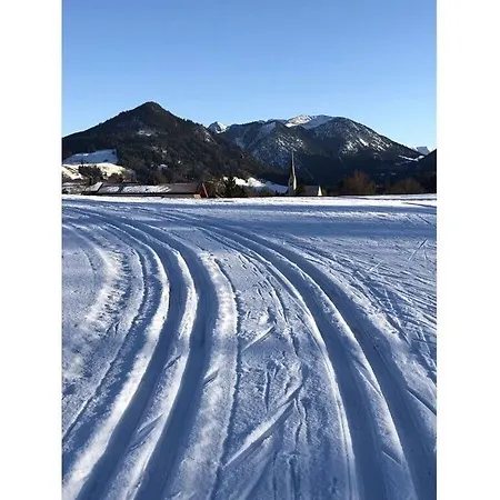 Alpenrose