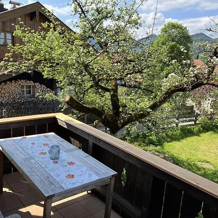 Alpenrose